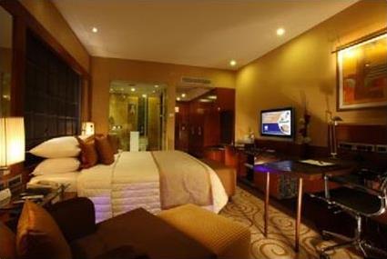 Hotel The Radisson 5 ***** / Delhi / Inde du Nord