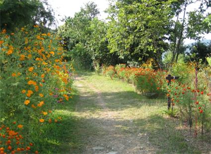 Hotel Tiger Mountain Pokhara Lodge 4 **** / Pokhara / Npal