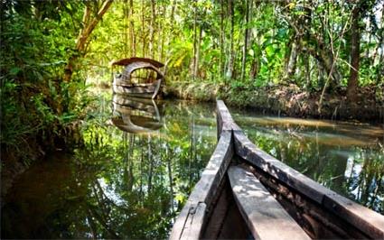 Les Backwaters du Kerala Les Excursions / Dtente sur les Backwaters / Inde du Sud