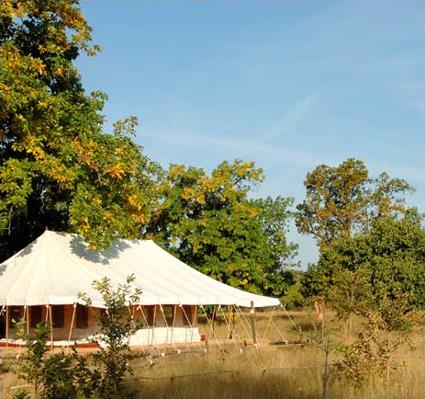 Hotel Bandhavgarh Jungle Lodge 4 **** / Bandhavgarh / Rajasthan