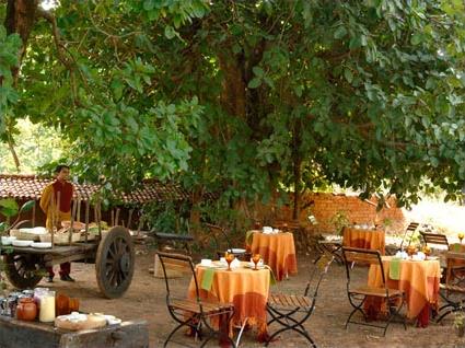 Hotel Taj Mahua Kothi 5 ***** / Bandhavgarh / Rajasthan