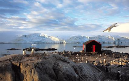 Croisire 8 jours gastronomie norvgienne / L'Express Ctier de Norvge