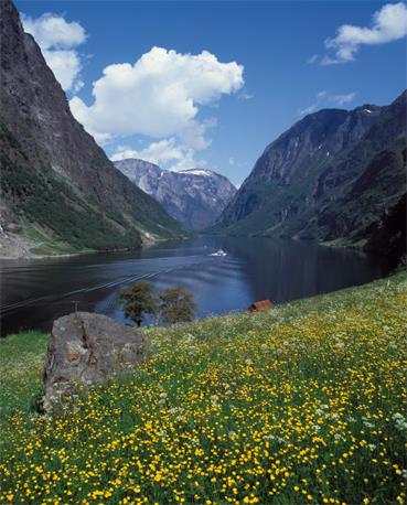 Croisire 11 jours Les Fjords Norvgiens / Europe du Nord / Norvge