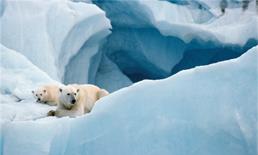 Groenland, Spitzberg et Antarctique / A bord du Navire MS Fram / Norvge