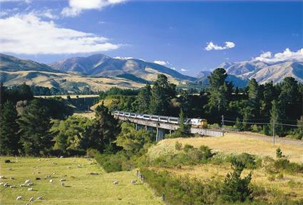 Autotour Lune de Miel au Pays des Kiwis / Au Dpart d' Auckland / Nouvelle Zlande