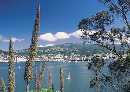 Circuit A La Recherche du Koru / Au Dpart d' Auckland / Nouvelle Zlande