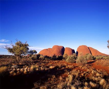 Circuit Combin Australie Nouvelle Zlande / Au Dpart de Sydney / Wallaby et Kaponga