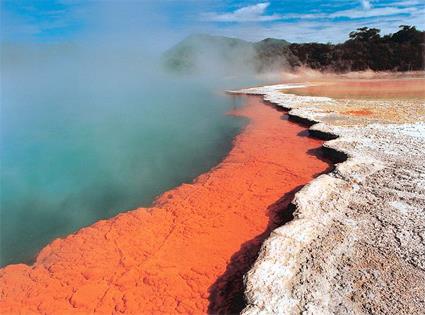 Circuit Nouvelle Zlande Sensations / Au Dpart d' Auckland / Nouvelle Zlande