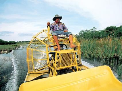 Excursion dans la journe / Les Everglades / Floride