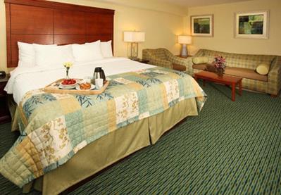 Hotel Holiday Inn Sunspree Lake Buena Vista 3 *** / Orlando / Floride