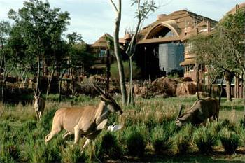 Hotel Disney's Animal Kingdom Lodge 3 *** / Walt Disney World / Floride