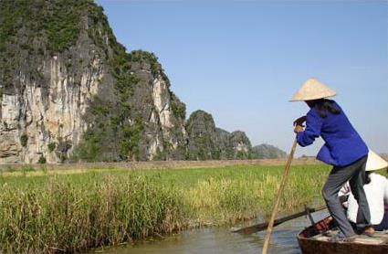 Circuit incontournable '' Jonques et rizires ''/  Vietnam