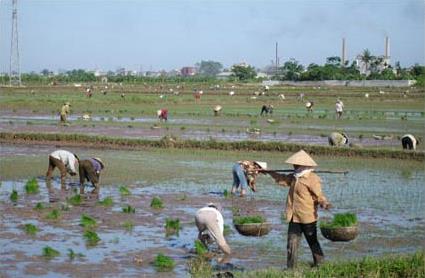 Circuit passion '' Paysages d' Indochine''/  Vietnam