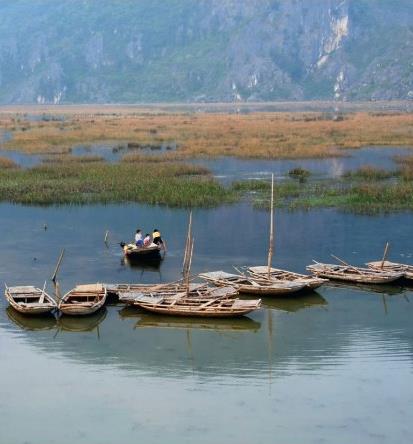 Circuit Vietnam Buissonnier / Les sampans du grand sud / Vietnam