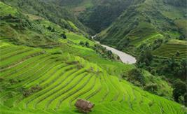 Vacances dans le Nord Tonkin / Vietnam