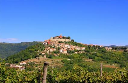 Croatie/ Location de vacances 5 ***** / Motovun-Cernehov Brijeg / R�gion de l' Istrie