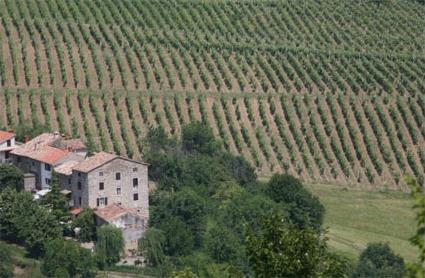 Croatie/ Location de vacances 4 **** / Motovun-Meloni / Rgion de l' Istrie