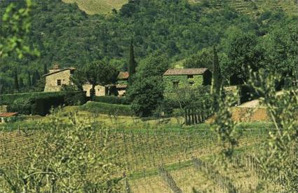 Italie/ Location de vacances 5 ***** / Greve in Chianti / Toscane