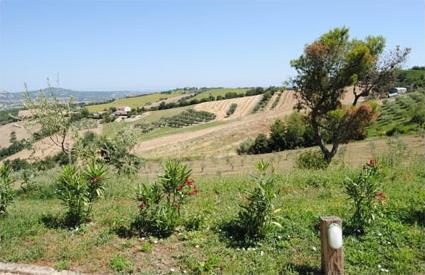 Italie/ Location de vacances 5 ***** / Piagge / Toscane