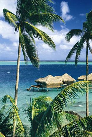 Hotel Te Tiare Beach Resort 4 **** / Fare Huahine / Polynsie Franaise