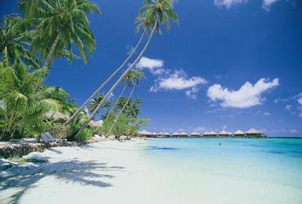 Hotel Te Tiare Beach Resort 4 **** / Fare Huahine / Polynsie Franaise