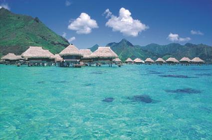 Hotel Hilton Moorea Lagoon Resort & Spa 4 **** / Moorea / Polynsie Franaise