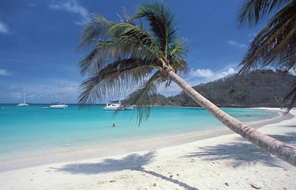 Croisire Dream Grenadines / Croisire Antillaise / Grenadines