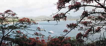 Croisire Dream Grenadines / Croisire Antillaise / Grenadines