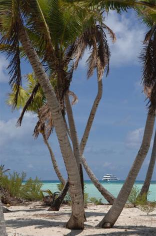 Croisires Haumana / Croisire Sable Rose / Polynsie Franaise