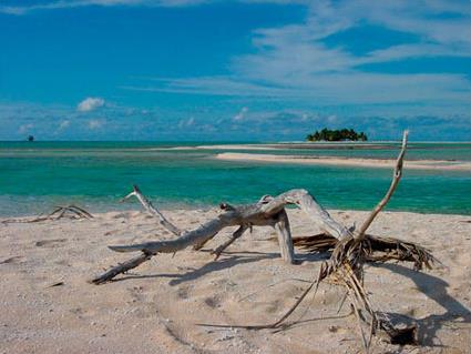 Croisires Haumana / Croisire Sable Rose / Polynsie Franaise