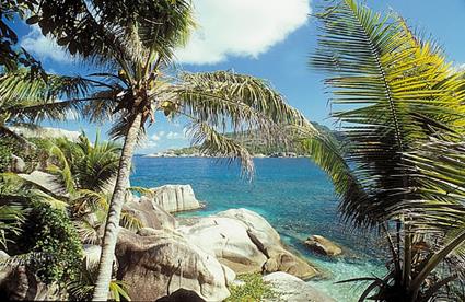 Croisires Dream Seychelles / Bird Dream / Croisire Romantique / Seychelles