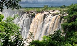 Sur Les Rives du fleuves Zambze / les Chutes Victoria / Zimbabwe / Zambie